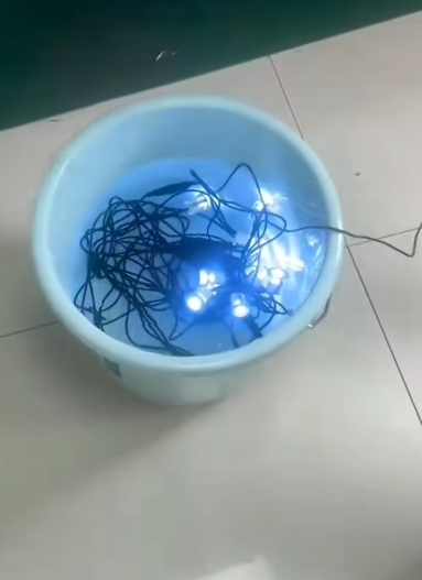 Deckbirnen werden unter Wasser einer Wasserdichtigkeitsprüfung unterzogen